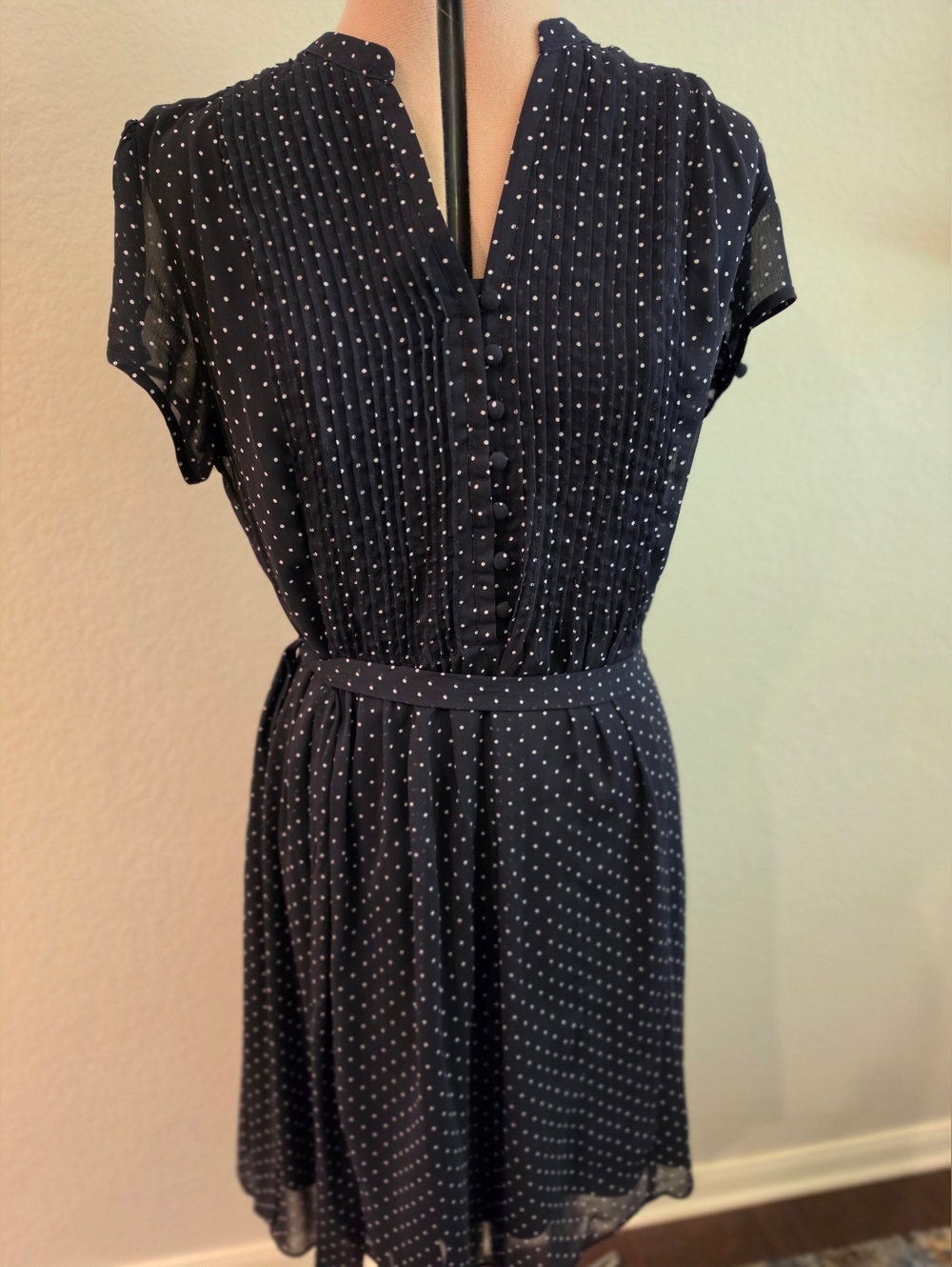 Navy Polka Dot Short Sleeve Dress
